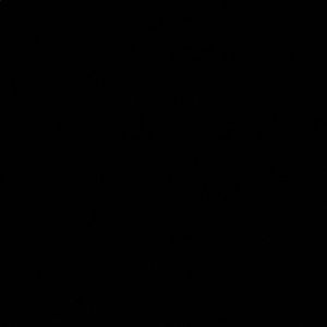 Meet your Posher, Darion